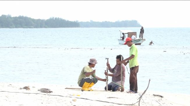 Pulau Sebaru (Antara)