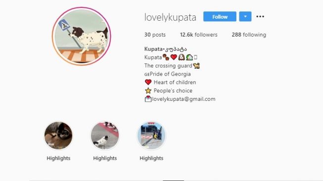 Kupata, si anjing pemberani. [Instagram]