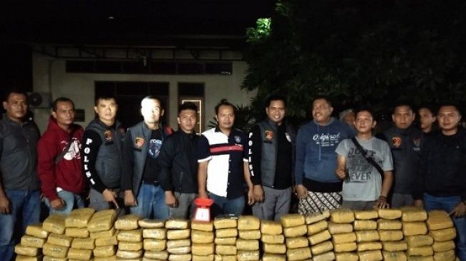 Polisi Amankan 160 Kilogram Ganja Yang Disimpan Di Kebun Karet