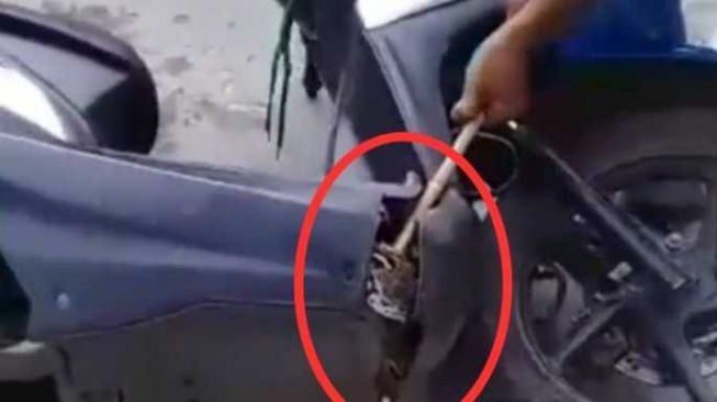 Viral, Seekor Ular Ditemukan Sembunyi Dalam Kap Motor Matic Saat Hujan