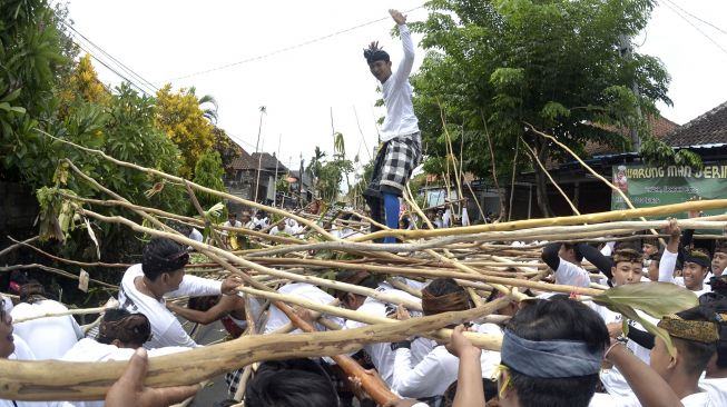 Seorang pemuda berdiri di atas tongkat yang disatukan saat Tradisi Mekotek di Desa Munggu, Badung, Bali, Sabtu (29/2). [ANTARA FOTO/Fikri Yusuf]