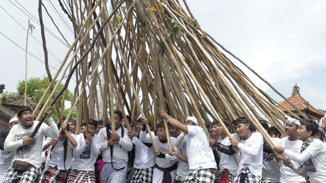 Sejumlah warga berusaha menyatukan tongkat saat Tradisi Mekotek di Desa Munggu, Badung, Bali, Sabtu (29/2). [ANTARA FOTO/Fikri Yusuf]