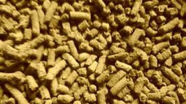 Alternatif Pakan, KKP Siapkan Model Percontohan Manggot Skala Industri