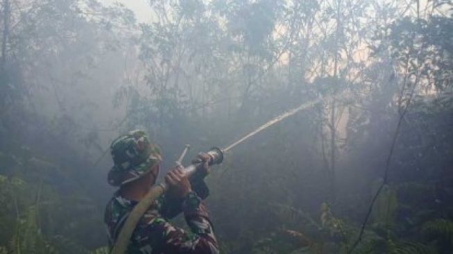 Melonjak Tajam, Kini 78 Titik Panas Karhutla Kepung Riau