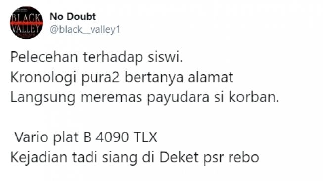 Pelecehan seksual oleh drivel ojol (Twitter).