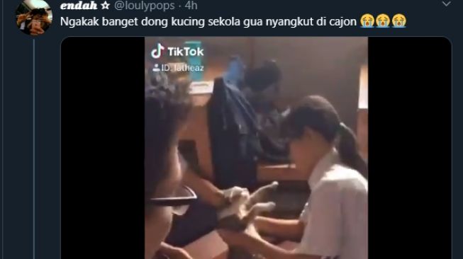 Kucing Tersangkut di Cajon. Kali Ini Bukan Kelakuan Kucing Oren