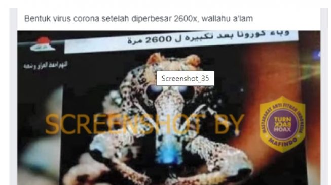 CEK FAKTA: Video Bentuk Virus Corona Diperbesar 2600x, Bisa Dipercaya?