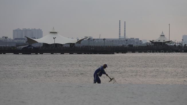 Pekerja membersihkan area pantai Ancol, Taman Impian Jaya Ancol, Jakarta, Sabtu (14/3). [Suara.com/Angga Budhiyanto]