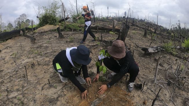 Mahasiswa dan anggota komunitas menanam pohon saat Aksi Tanam 1000 Pohon di kawasan bekas kebakaran hutan dan lahan (karhutla) di konsesi PT Restorasi Ekosistem Indonesia (REKI), Bungku, Bajubang, Batanghari, Jambi, Sabtu (14/3). [ANTARA FOTO/Wahdi Septiawan]