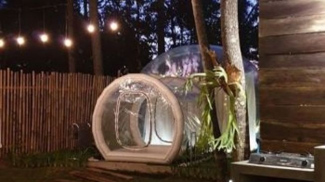 Ingin Rasakan Tidur Beratap Bintang? Coba Bubble Tent di Lereng Merapi Ini