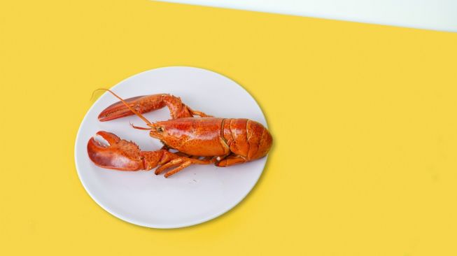 Lobster. (Unsplash/Toa Heftiba)