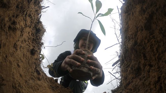 Mahasiswa menanam pohon saat Aksi Tanam 1000 Pohon di kawasan bekas kebakaran hutan dan lahan (karhutla) di konsesi PT Restorasi Ekosistem Indonesia (REKI), Bungku, Bajubang, Batanghari, Jambi, Sabtu (14/3). [ANTARA FOTO/Wahdi Septiawan]