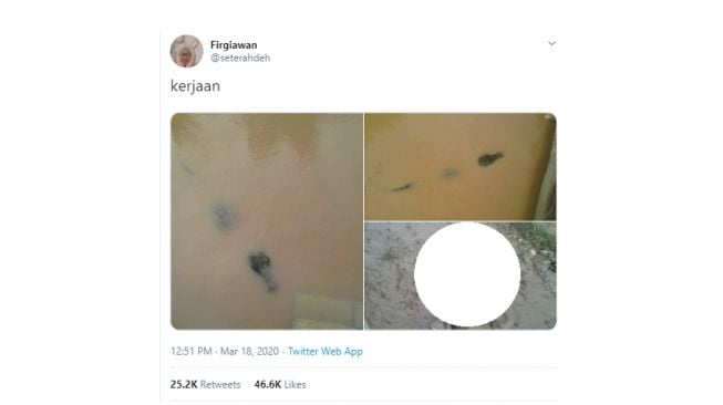 Mirip Penampakan Buaya Sungguhan, Ternyata Cuma Hal Ini