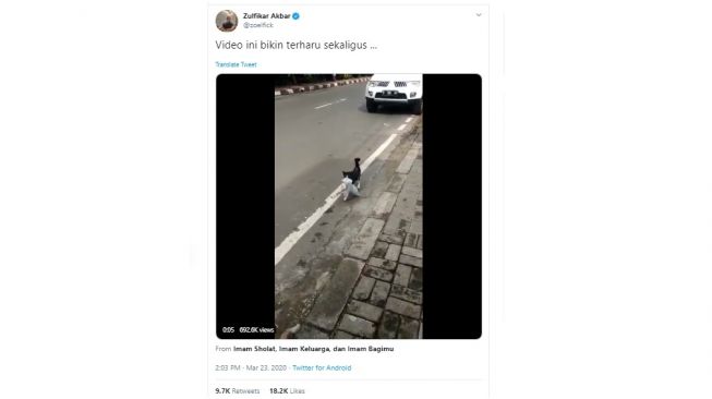 Aksi lucu kucing gondol sesuatu yang tidak terduga. [Twitter]