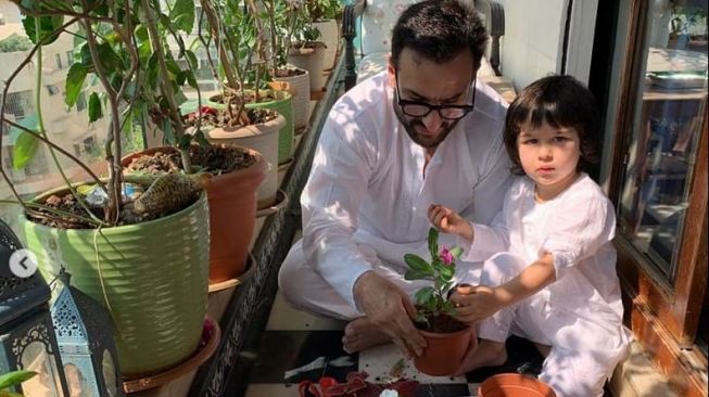 Saif Ali Khan dan putranya, Taimur Ali Khan tengah menanam sebuah pohon kembang. [Instagram]