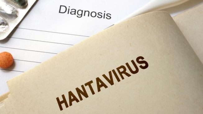 Hantavirus. (Shutterstock)