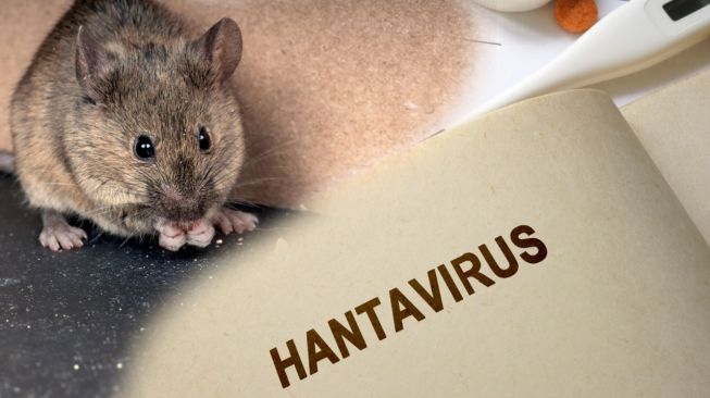 Hantavirus Hantui China Pasca Corona, Uang Bisa Tularkan Virus Corona?