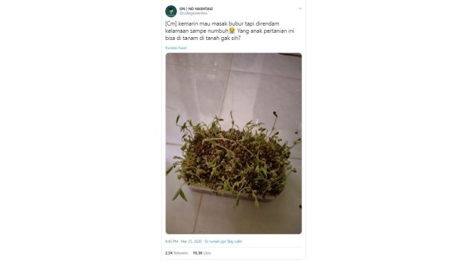 Postingan warganet kacang hijau berubah bentuk. [Twitter]