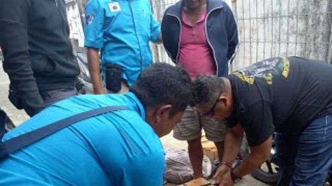Bawa Telur Penyu dari Kepri, Warga Pontianak Diamankan Polisi