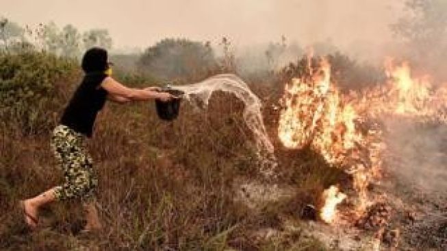 Mungkinkah fatwa agama membantu cegah kebakaran hutan di Indonesia?