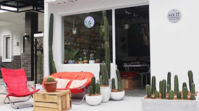 Bisnis Tanaman Hias Kreatif Ala Plantshopedia