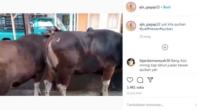 Bisnis Aziz Gagap [Instagram/@ajis_gagap22]