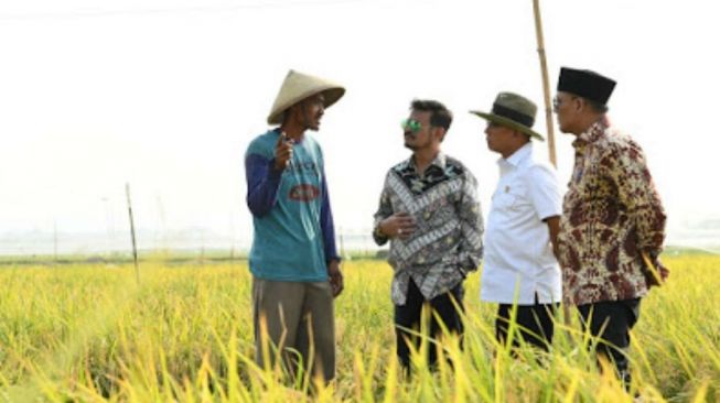 Alsintan Jadi Jawaban Kekurangan Tenaga Kerja Pertanian Bali