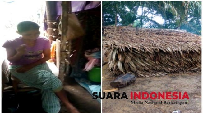 Bisu dan Tuli, Kisah Janda Difabel Tidur di Gubuk Layaknya Kandang Ternak