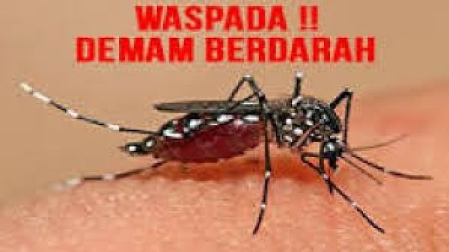 Di Tengah Pandemi Covid-19, Pemerintah Minta Warga Waspadai Penyakit ini