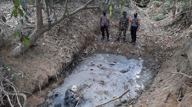 Bangkai Anak Gajah Ditemukan di Hutan Produksi Kawasan Aceh Timur