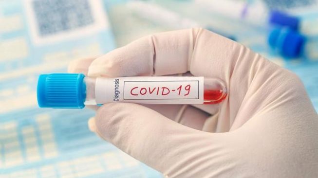 PDHI Kalbar Sebut Hewan Tak Tularkan Covid-19 ke Manusia