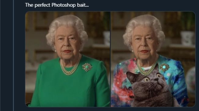 Meme baju Ratu Elizabeth II. (Twitter/@rockpapercynic)