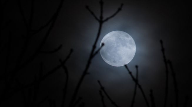 Tagar Supermoon Trending di Twitter, Warganet Abadikan Fenomena Itu