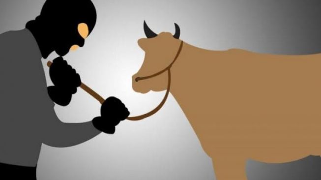 Kawanan Pencuri Ternak di Cimarga Dibekuk Polisi di Tengah KLB Covid-19