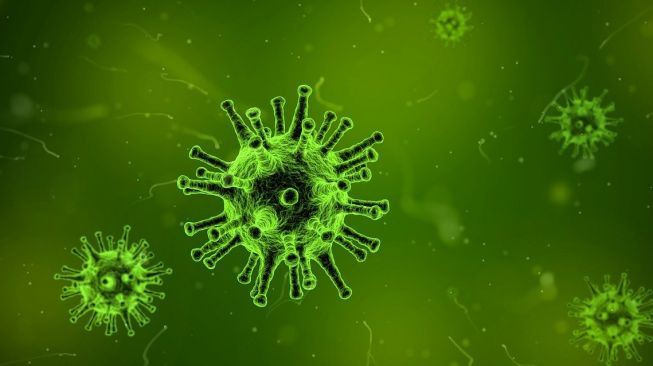 Ternyata virus corona sudah bermutasi jadi 3 jenis, tipe B terbanyak