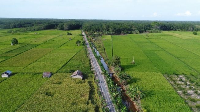 Covid-19, Kementan dan Jasindo Percepat Pembayaran Klaim Asuransi Pertanian