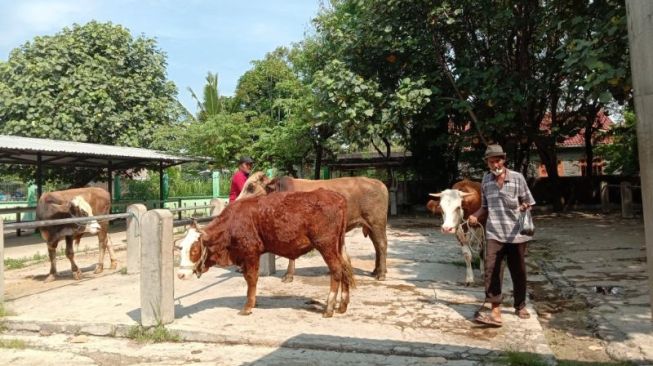 Cegah COVID-19, Pasar Hewan Gamping Semprot Hewan dengan Antiseptik