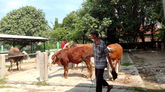 Ringankan Pedagang, Disperindag Bantul Gratiskan Retribusi Pasar 3 Bulan