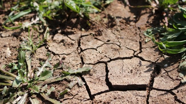 Diprediksi Puncak Kemarau, Agustus Ini Jogja Tetap Berpotensi Diguyur Hujan