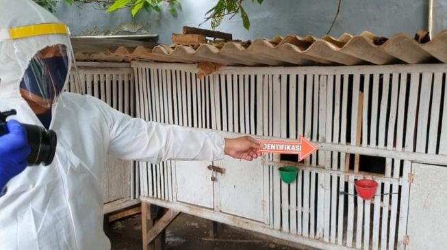 Polisi memeriksa kandang ayam di tempat judi  sambung ayam di Bekasi, Jawa Barat, Selasa (21/4). [Istimewa]
