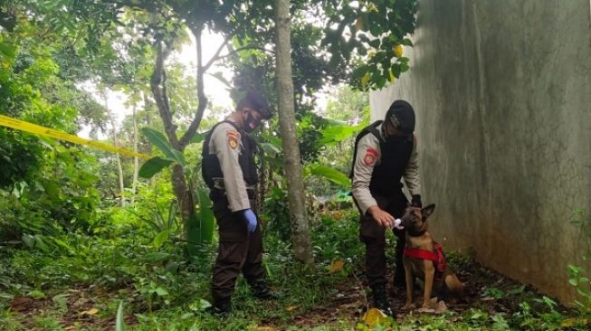 Polisi Kerahkan Anjing Pelacak Kejar Napi Cai Ji Fan di Hutan Tenjo