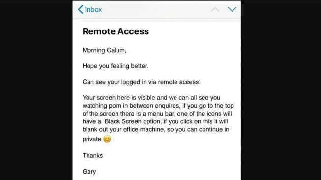 Email dari Gary ke Callum, Pria Ketahuan Nonton Film Porno saat WFH (Reddit)