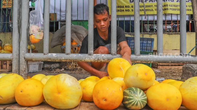 Pedagang merapikan buah Timun Suri di Pasar Palmerah, Jakarta Pusat, Sabtu (25/4). [Suara.com/Alfian Winanto]
