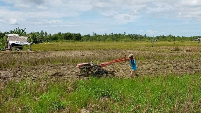 Cegah Alih Fungsi Lahan, Salah Satu Cara Hindari Krisis Pangan