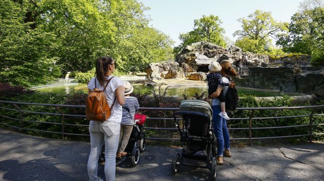 Kebun Binatang di Zoologischer, Jerman Kembali Dibuka