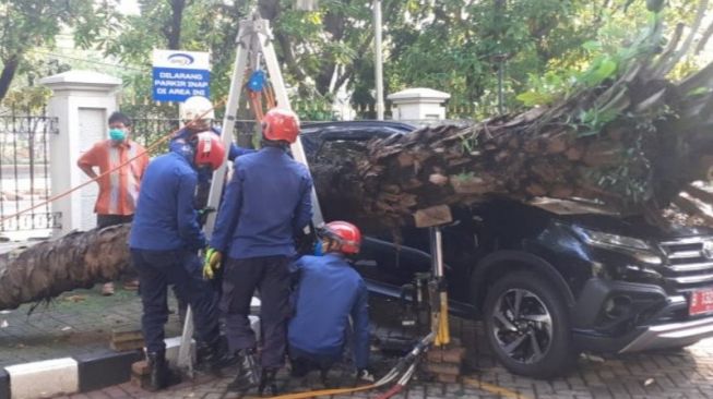 Mobil Dinas di Kelurahan Utan Kayu Utara Penyok Tertimpa Pohon Tumbang