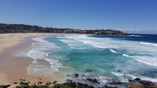 Kembali Dibuka, Puluhan Peselancar Sambangi Pantai Bondi