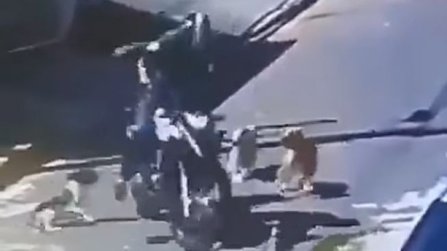 Pemotor harus jatuh tersungkur dari motor setelah dikeroyok 3 anjing (Facebook Devit Triyadi)