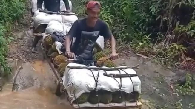 Naik Motor Bermuatan Penuh, Aksi Petani Durian Ini Bikin Salah Fokus