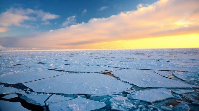 Ilustrasi Arktik, Kutub Utara. [Shutterstock]